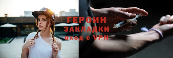сатива Бородино