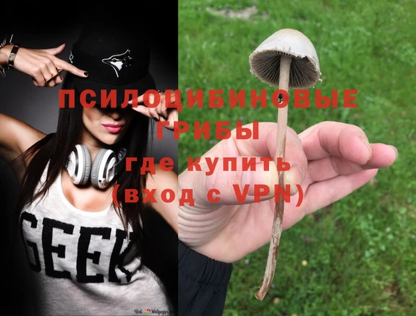 ешки Волосово